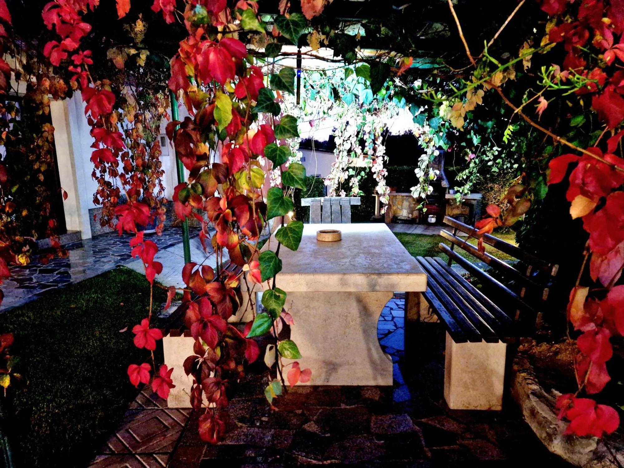 Casa Luana Villa Roč Exteriör bild